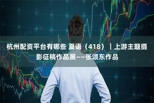 杭州配资平台有哪些 夏语（418）｜上游主题摄影征稿作品展——张颂东作品